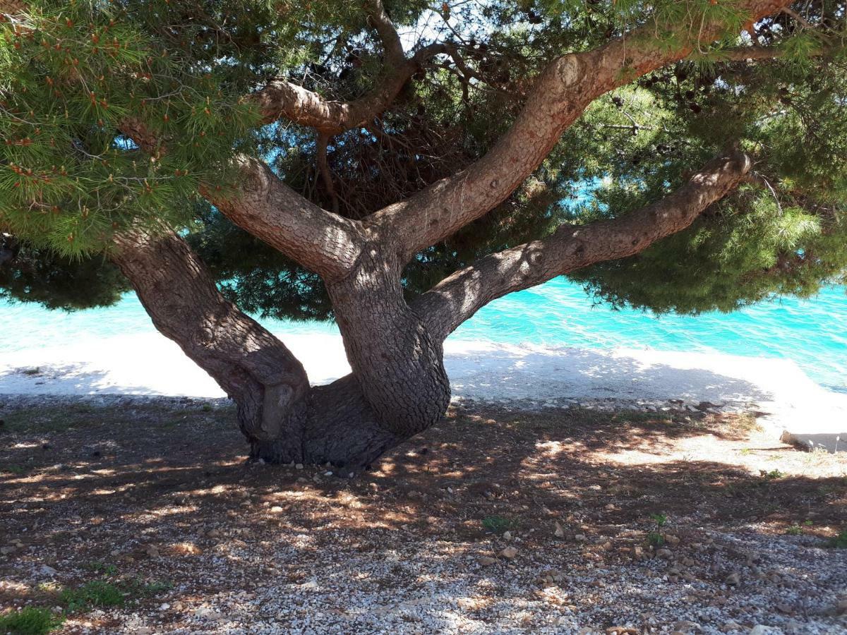 Vacation Home Mirjana セゲット・ヴラニツァ エクステリア 写真